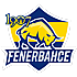 1907 Fenerbahçe Esports