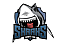 Sharks Youngsters