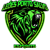Leoes Porto Salvo Esports