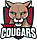 Top Cougars